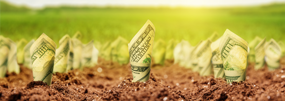 Harvesting Profits vs Paying Capital Gain Taxes:  The 1031 Tax Deferred Exchange
